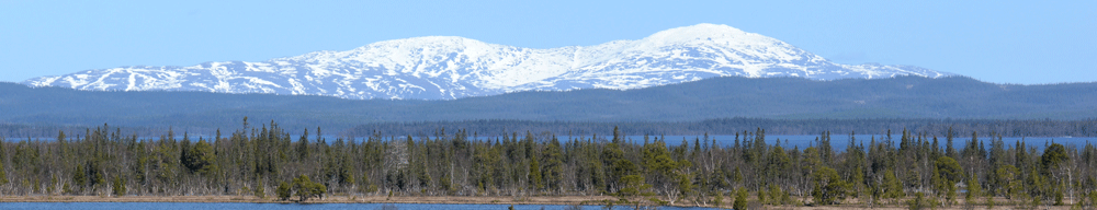 Sjö och skog med snöklädda berg i bakgrunden. Foto.