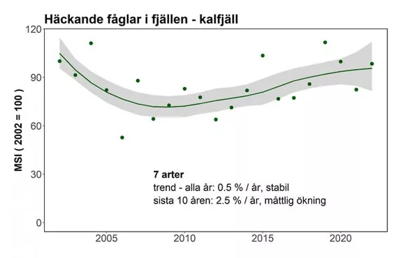 Grafen visar en stabil trend för fåglarna på kalfjället. Illustration.