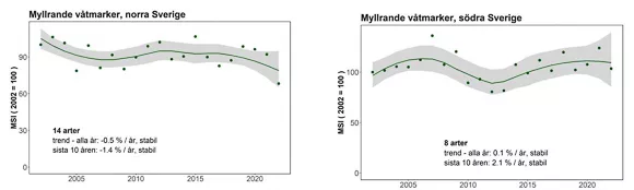 Graferna visar stabila trender för myllrande våtmarker. Illustration.