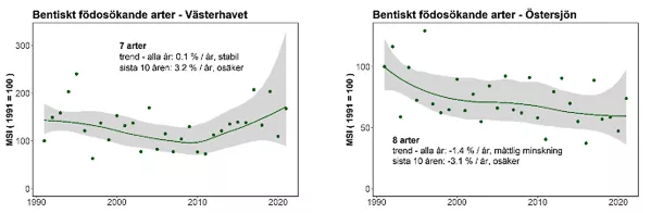 Grafen som visar en stabil och en måttligt minskande trend för bentiskt födosökande arter. Illustration.