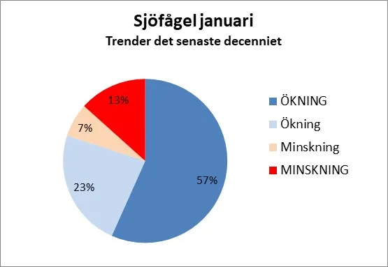 Trender de senaste 10 åren hos 30 arter sjöfåglar övervintrande i Sverige