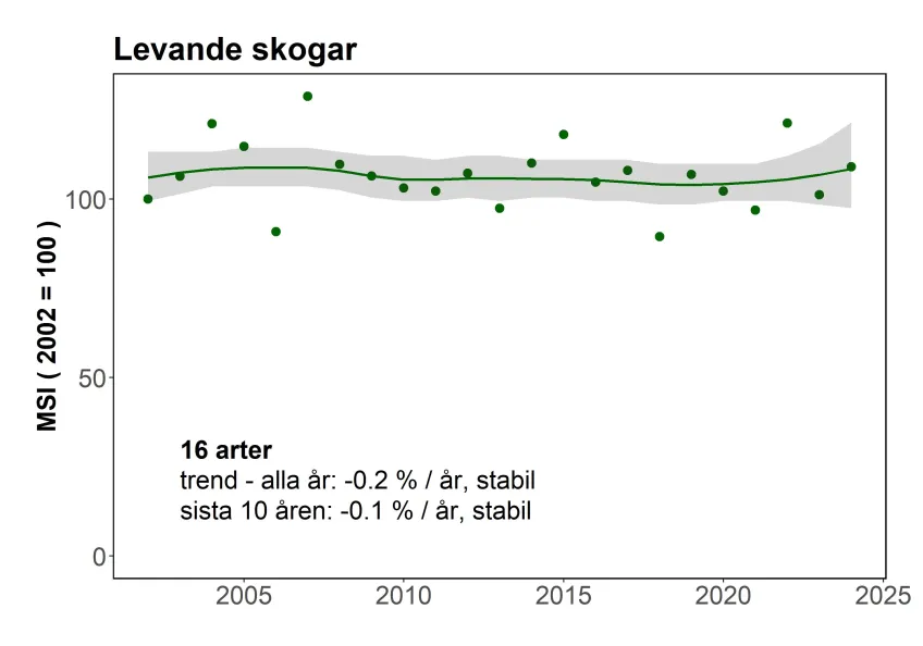 En trend för fåglarna i Skogen