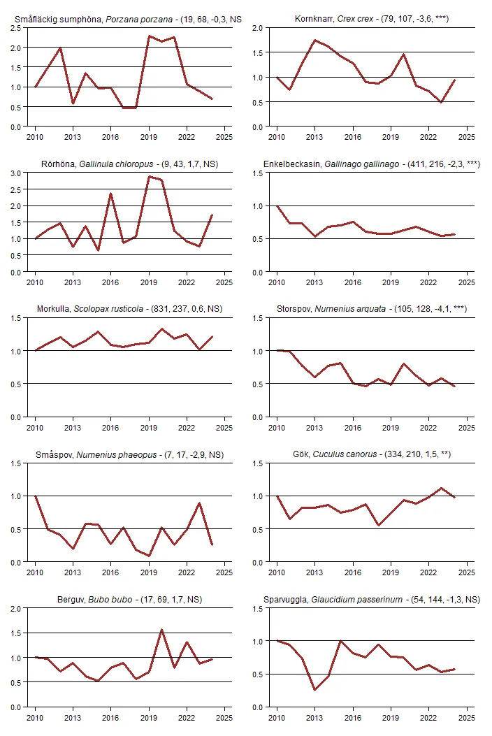 Populationstrender för tio  arter nattaktiva fåglar