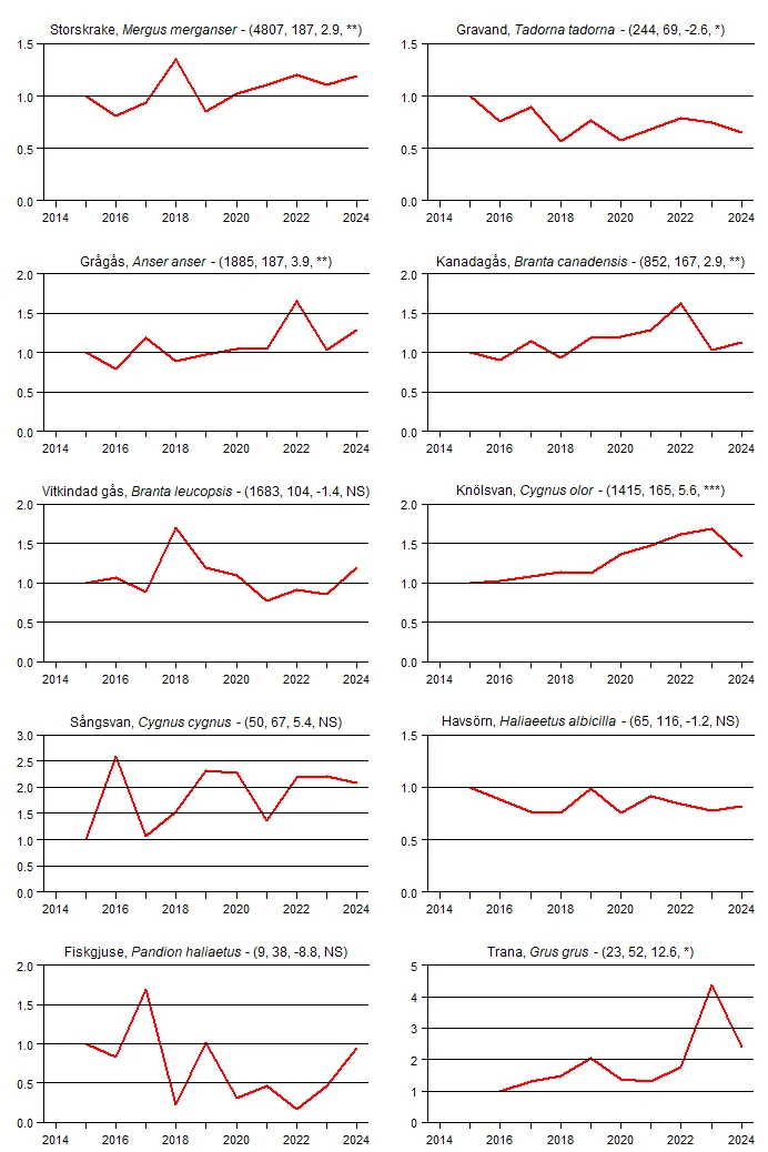 Populationstrender för tio arter fåglar baserat på våra kustfågelrutor