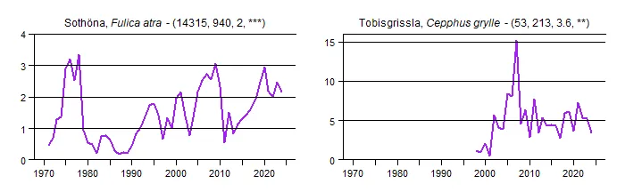 Populationstrender för en grupp arter baserat på sjöfågelräkningarna i januari