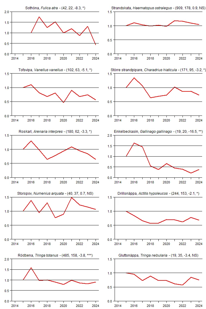 Populationstrender för tio arter fåglar baserat på våra kustfågelrutor