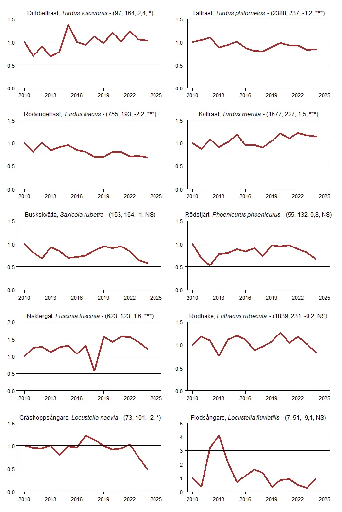 Populationstrender för tio arter nattaktiva fåglar