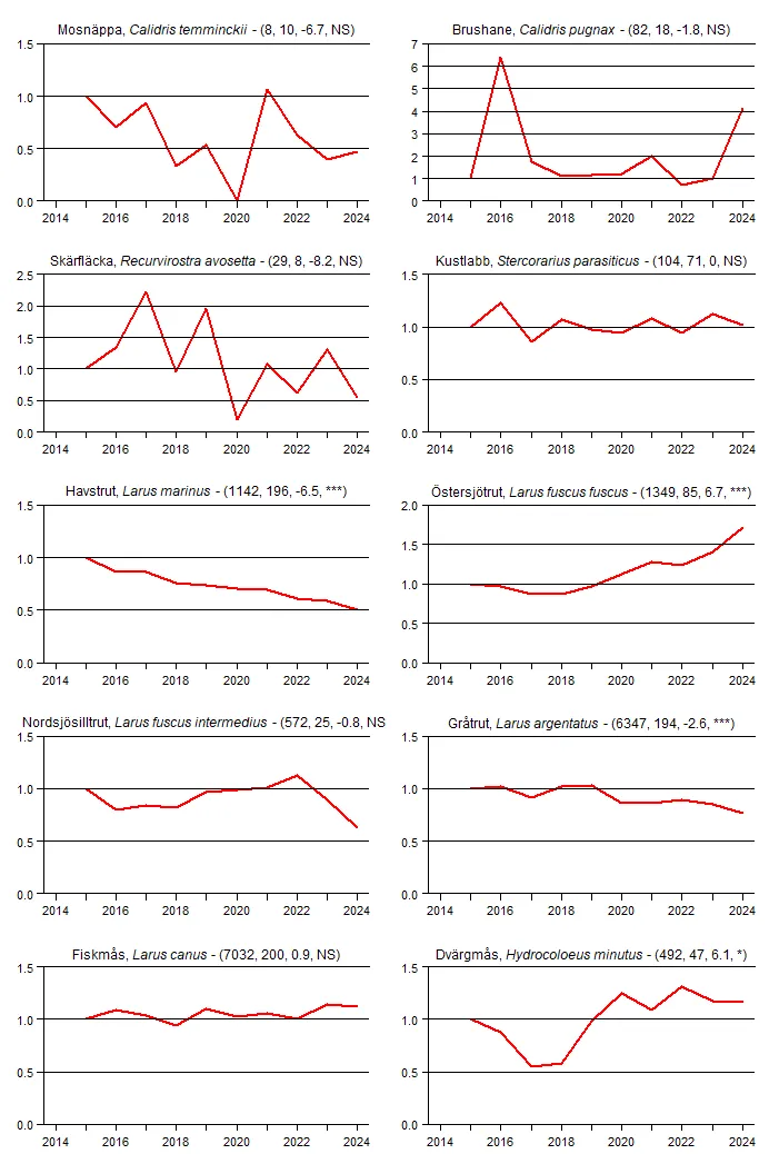Populationstrender för tio arter fåglar baserat på våra kustfågelrutor