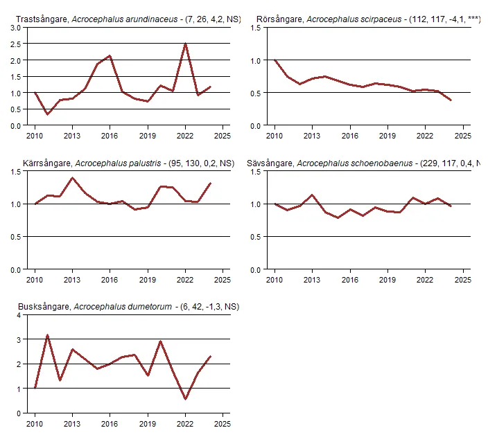Populationstrender för fem arter nattaktiva fåglar