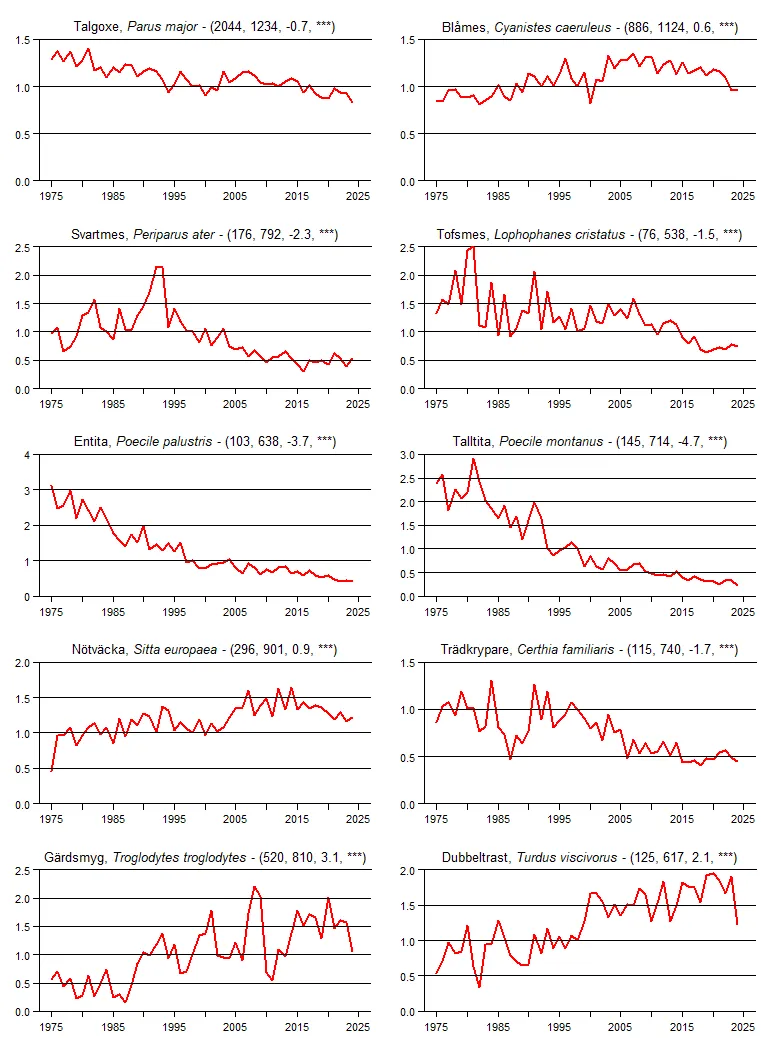 Populationstrender för en grupp arter baserat på sommarpunktrutterna