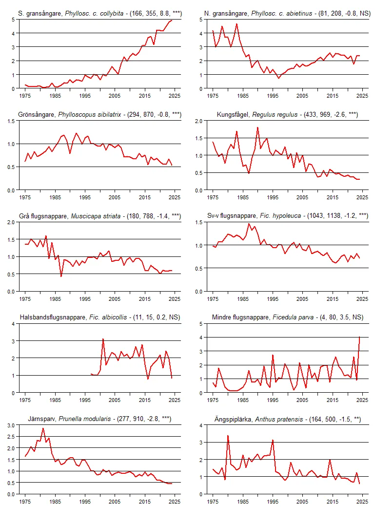 Populationstrender för en grupp arter baserat på sommarpunktrutterna