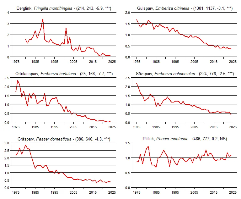 Populationstrender för en grupp arter baserat på sommarpunktrutterna
