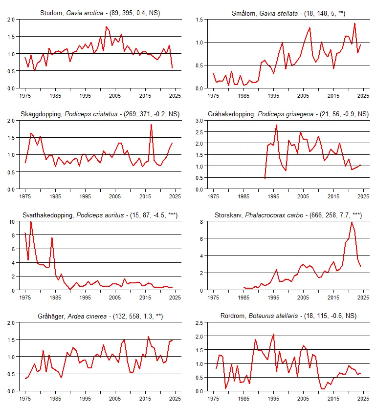 Populationstrender för en grupp arter baserat på sommarpunktrutterna