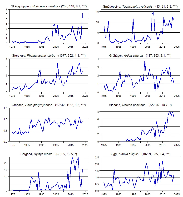 Populationstrender för en grupp arter baserat på vinterpunktrutterna