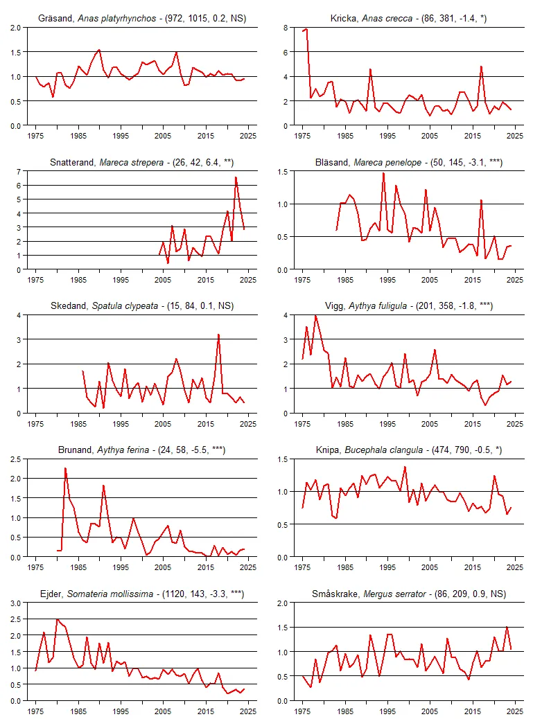 Populationstrender för en grupp arter baserat på sommarpunktrutterna