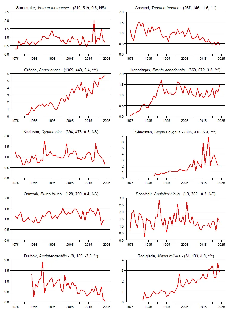 Populationstrender för en grupp arter baserat på sommarpunktrutterna