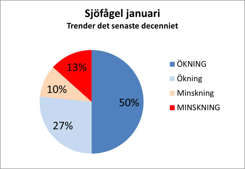Pajdiagram med fördelningen av tioårstrender på sjöfågelinventeringen i januari