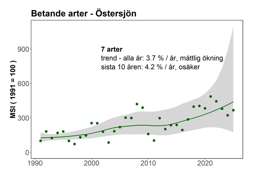 Indikatorn för övervintrande sjöfåglar i Östersjön - betande arter