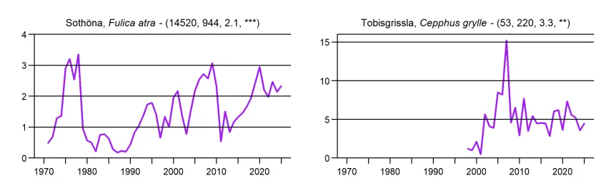 Populationstrender för fåglar enligt sjöfågelinventeringar i januari