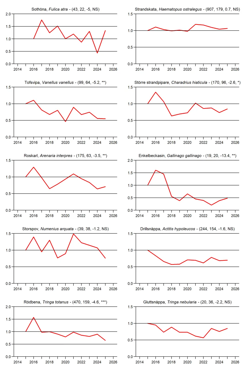 Populationstrender för fåglar enligt de 200 kustrutorna
