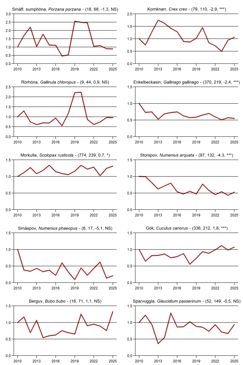 Populationstrender för fåglar, däggdjur och groddjur enligt nattrutterna