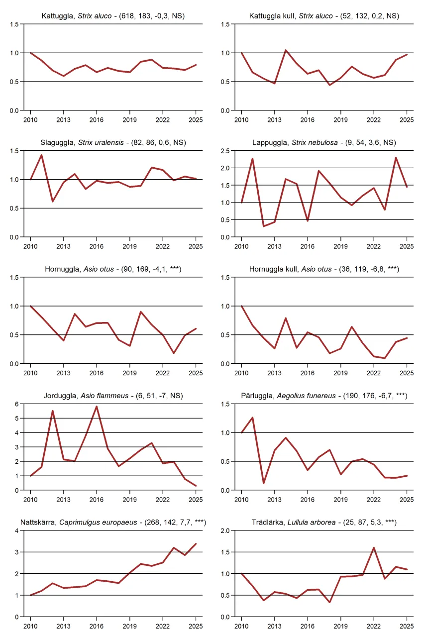 Populationstrender för fåglar, däggdjur och groddjur enligt nattrutterna