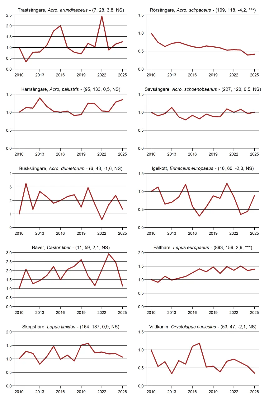 Populationstrender för fåglar, däggdjur och groddjur enligt nattrutterna