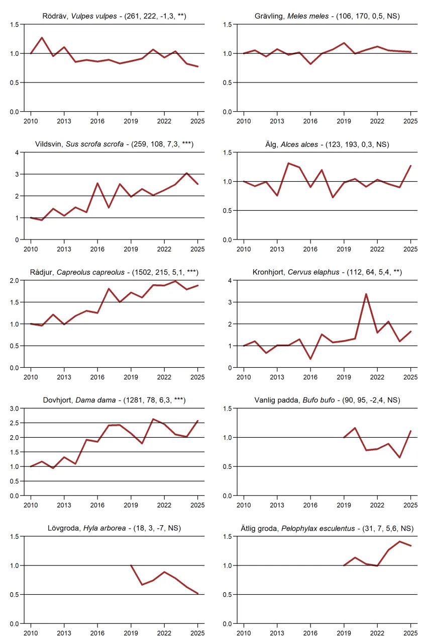 Populationstrender för fåglar, däggdjur och groddjur enligt nattrutterna