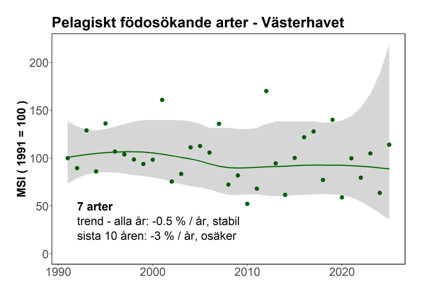 Indikatorn för övervintrande sjöfåglar i Västerhavet - pelagiska arter