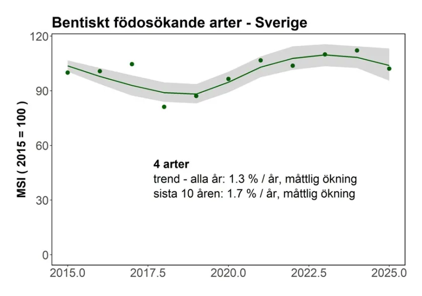 Indikatorer för häckande sjöfåglar längs Sveriges kuster - bentiskt födosök