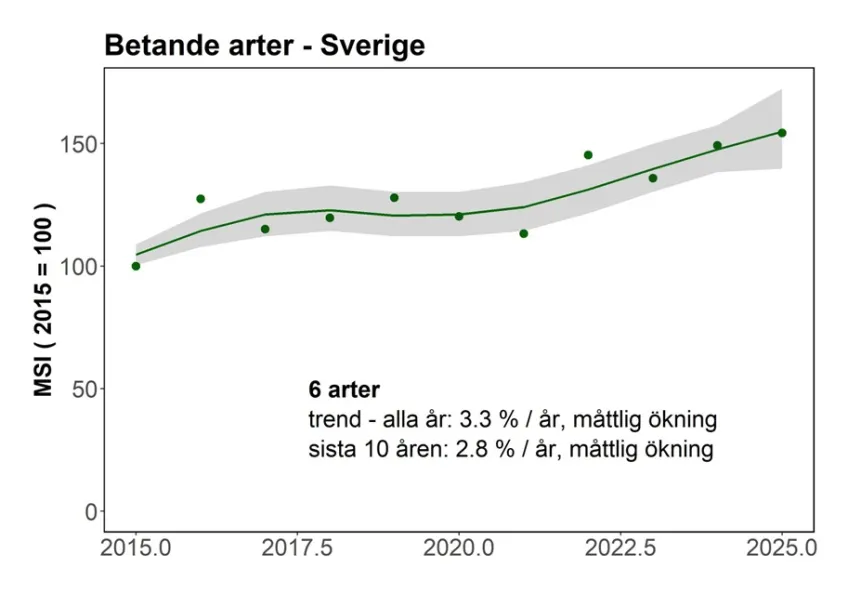 Indikatorer för häckande sjöfåglar längs Sveriges kuster - betande fåglar