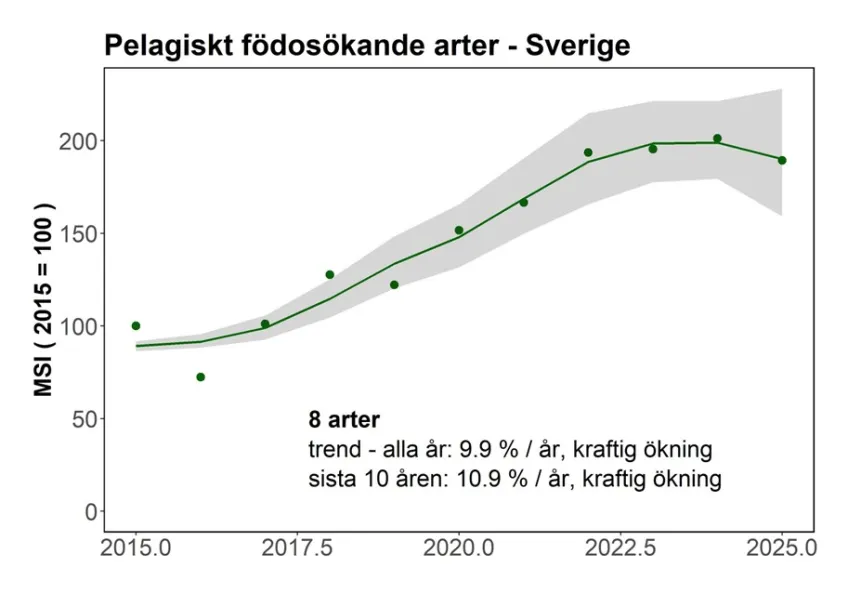 Indikatorer för häckande sjöfåglar längs Sveriges kuster - pelagiskt födosök