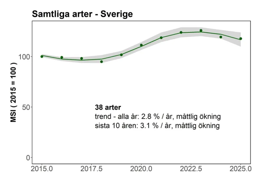 Indikatorer för häckande sjöfåglar längs Sveriges kuster - samtliga arter 