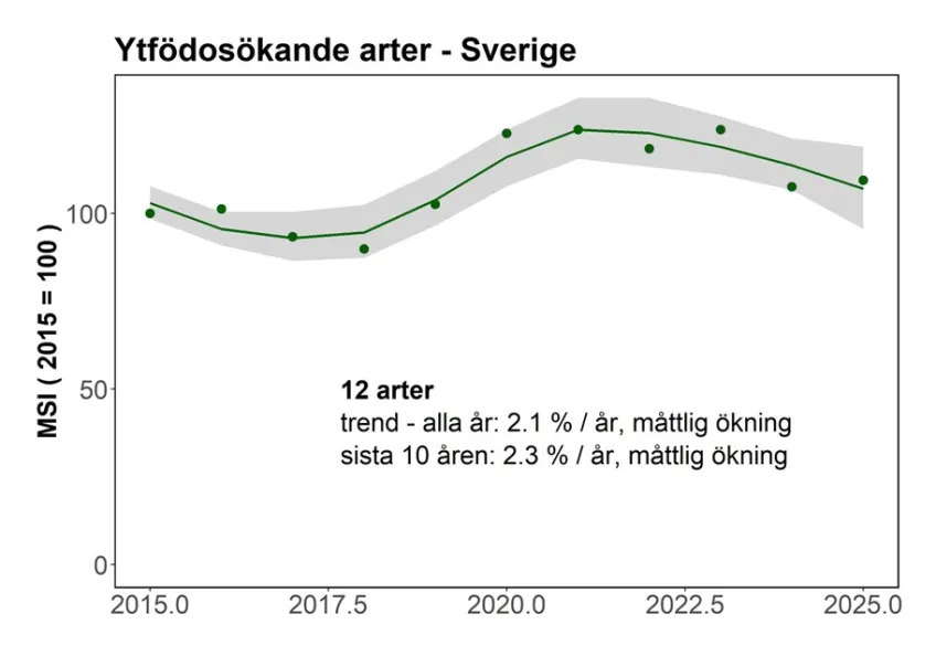 Indikatorer för häckande sjöfåglar längs Sveriges kuster - ytfödosök