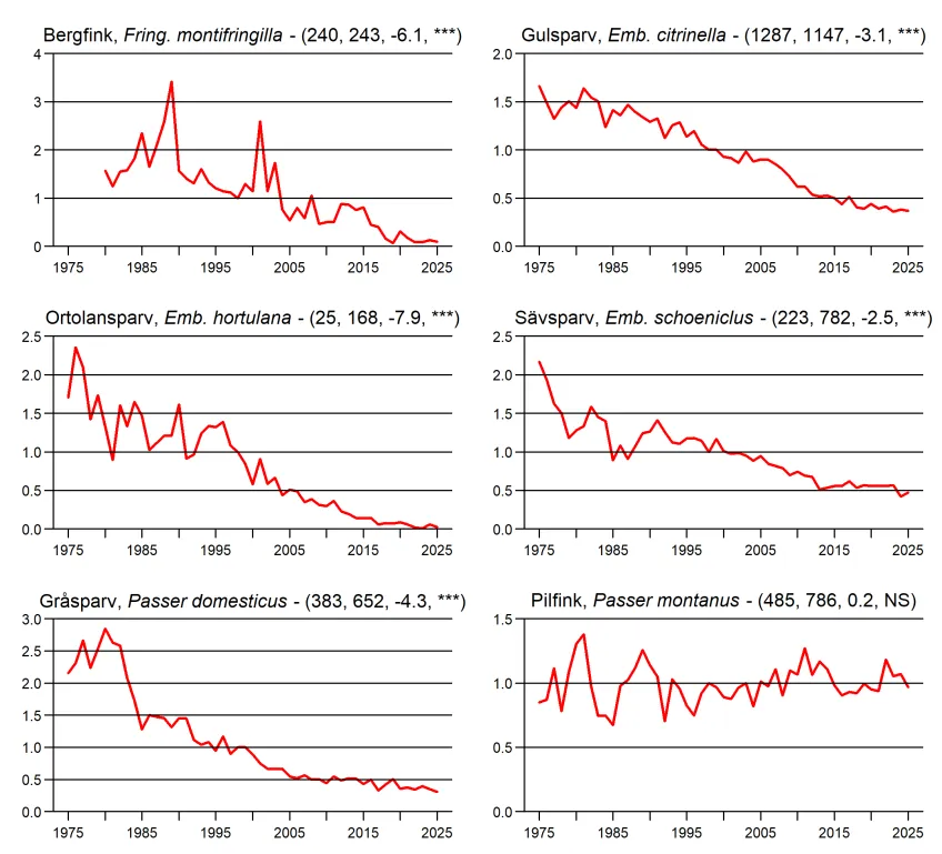 Populationstrender för fåglar enligt sommarpunktrutterna