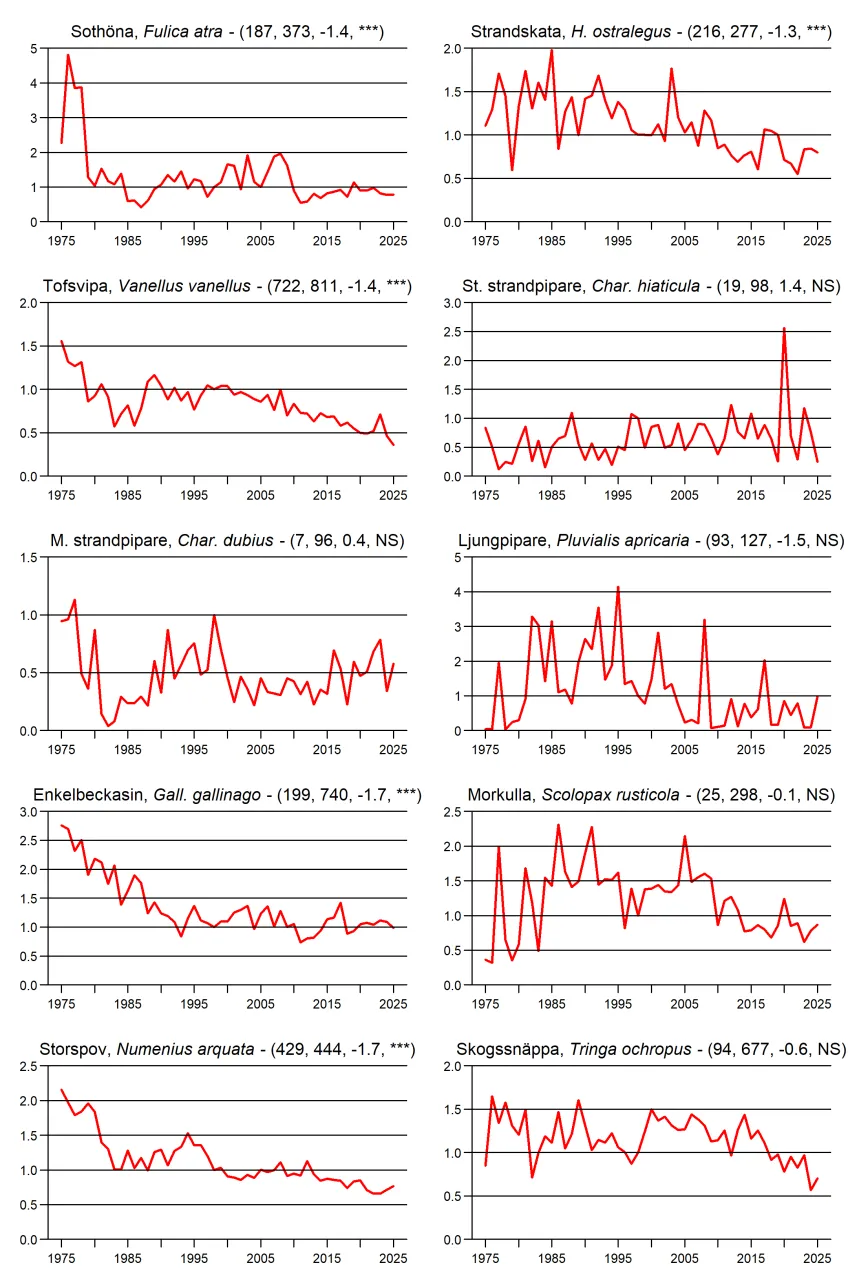 Populationstrender för fåglar enligt sommarpunktrutterna