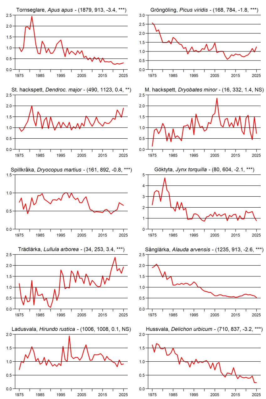 Populationstrender för fåglar enligt sommarpunktrutterna